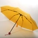 Guarda chuva Retrátil Mini Fun