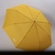 Guarda chuva Retrátil Mini Fun