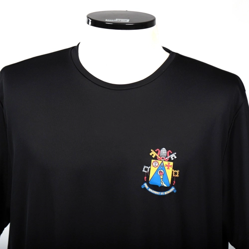 Camiseta Básica All Star Dry Brasão