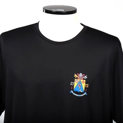 Camiseta Básica All Star Dry Brasão