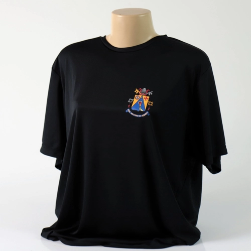 Camiseta Básica All Star Dry Brasão