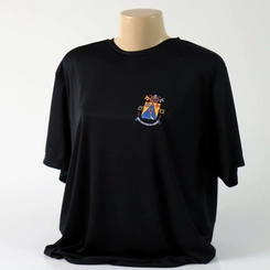 Camiseta Básica All Star Dry Brasão